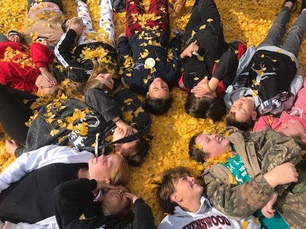 Students lying on the ground in a pile of bright yellow gingko leaves, smiling and laughing as leaves fall over them.