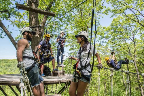 On the zip line canopy tour, four adults smile while standing high in a tree on a wooden platform and wooden bridge, and another person has just started to zip line.