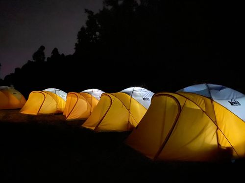 Large, cozy yellow tents glow from the inside, set against a dark sky and the silhouettes of trees.